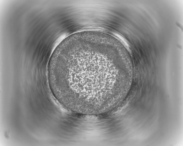 X0000093160907200710241017