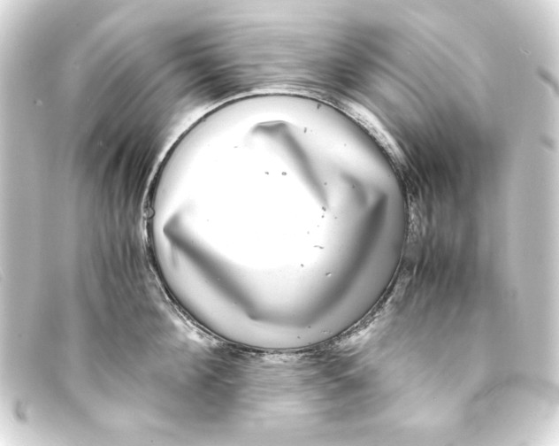 X0000093160908200710241017