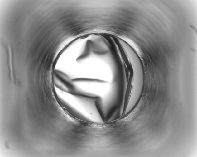 X0000093160910200710241017