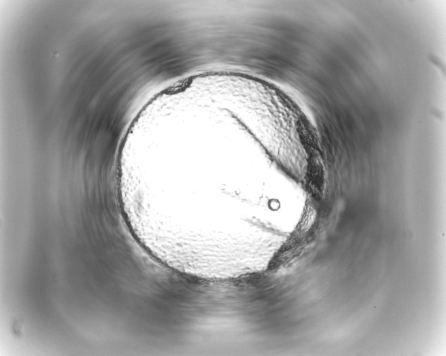X0000093160911200710241017