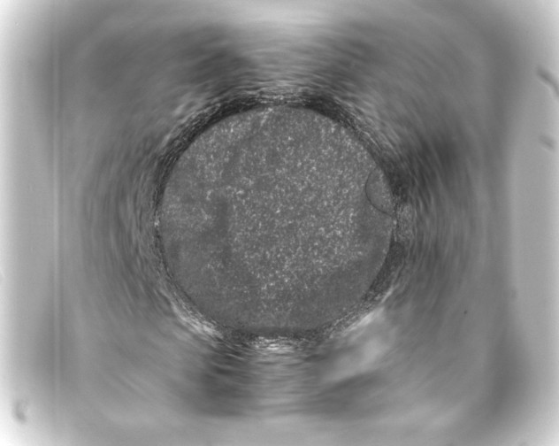 X0000093160913200710241017