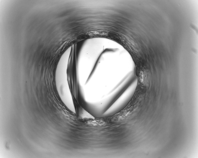 X0000093160915200710241017