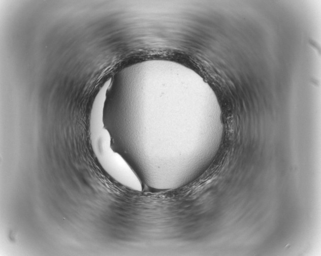X0000093160916200710241017
