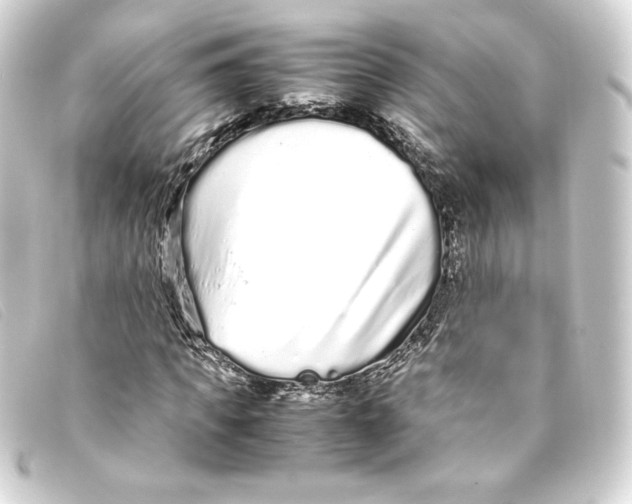 X0000093160917200710241017