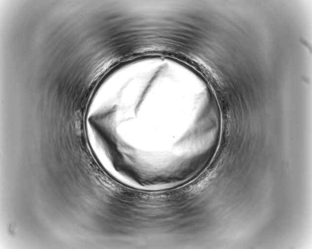 X0000093160921200710241017