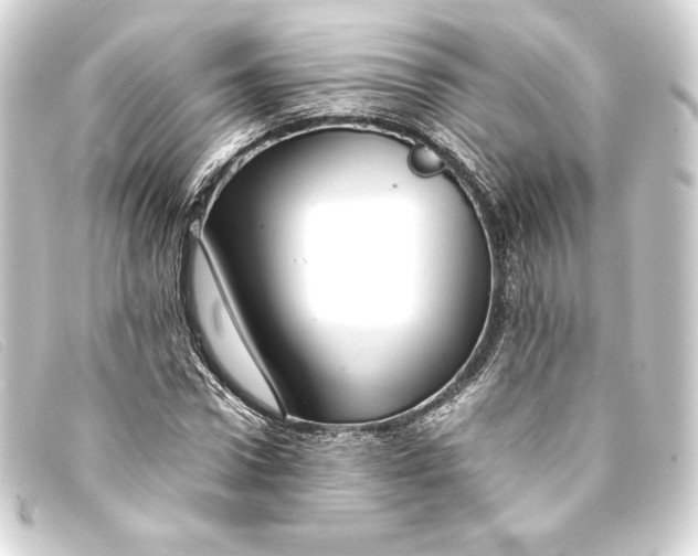 X0000093160922200710241017