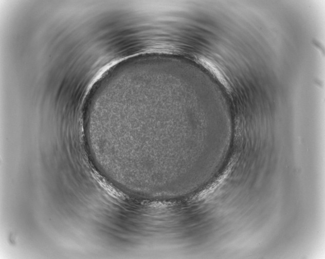 X0000093160923200710241017