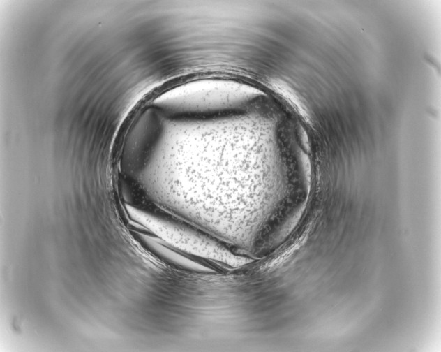 X0000093160924200710241017