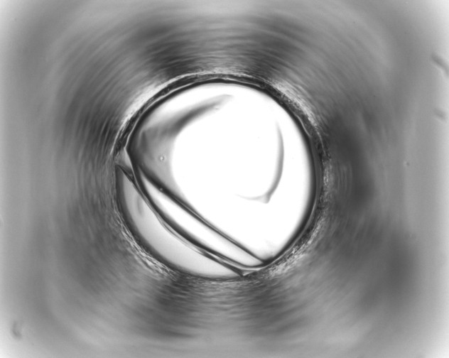 X0000093160925200710241017