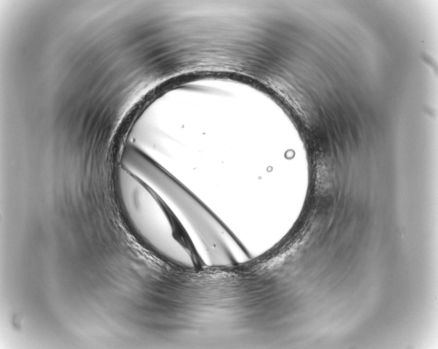 X0000093160926200710241017