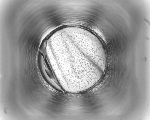 X0000093160928200710241017