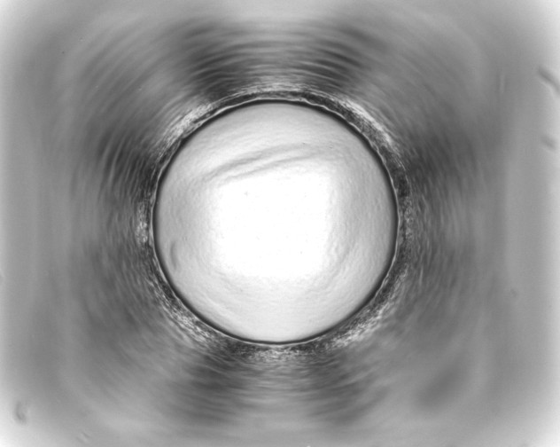 X0000093160929200710241017
