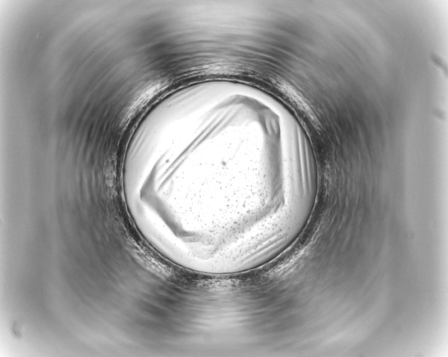 X0000093160930200710241017