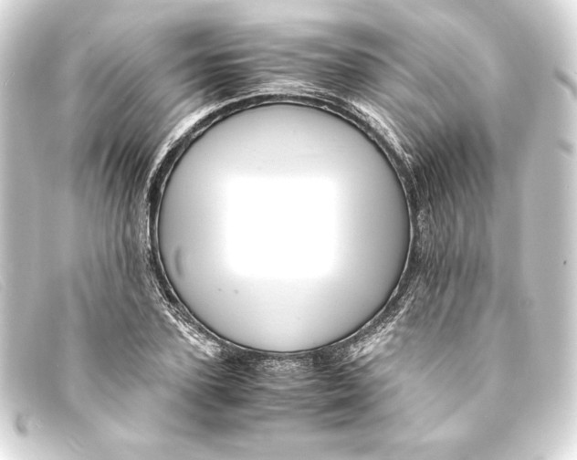 X0000093160931200710241017