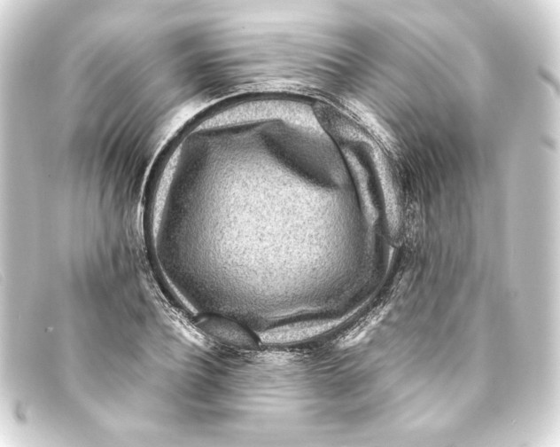 X0000093160932200710241017