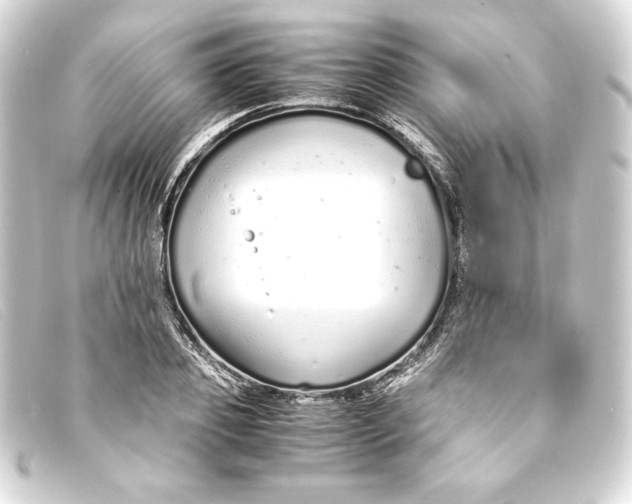 X0000093160933200710241017