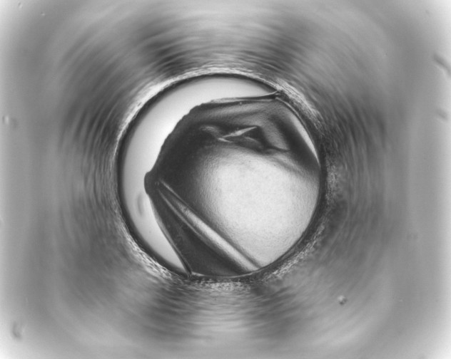 X0000093160934200710241017