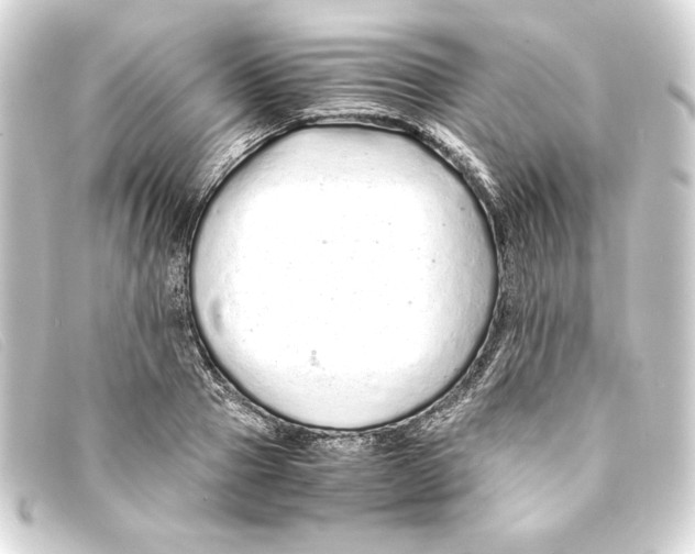 X0000093160937200710241017