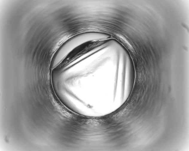 X0000093160938200710241017