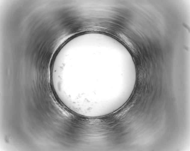 X0000093160940200710241017