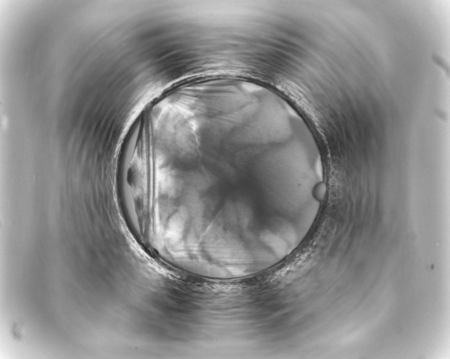 X0000093160941200710241017