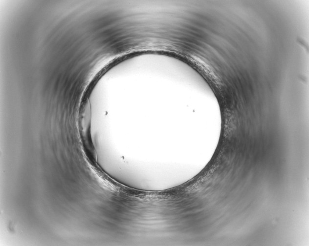 X0000093160942200710241017