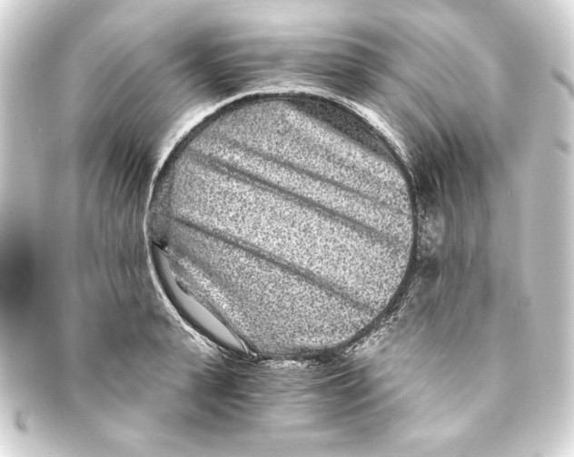 X0000093160943200710241017