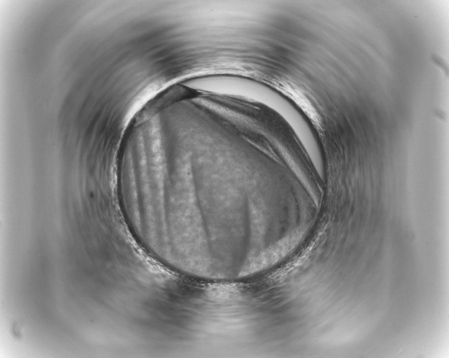 X0000093160944200710241017