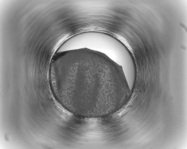 X0000093160946200710241017