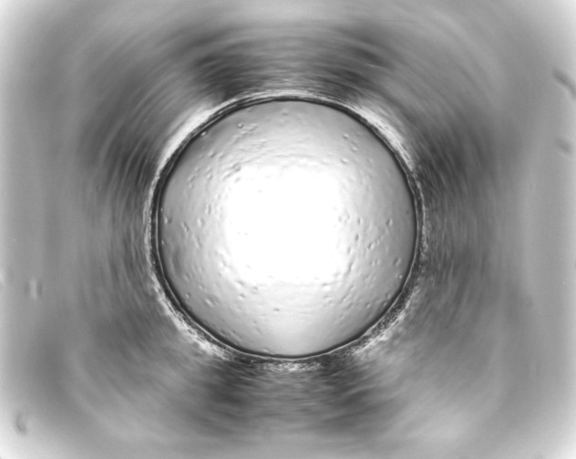 X0000093160949200710241017