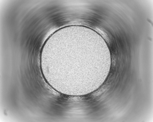 X0000093160950200710241017