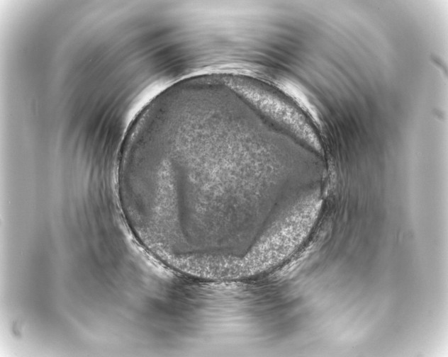 X0000093160952200710241017