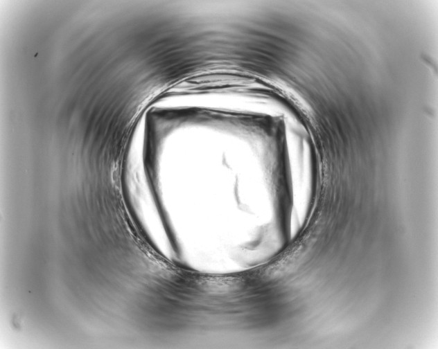 X0000093160953200710241017