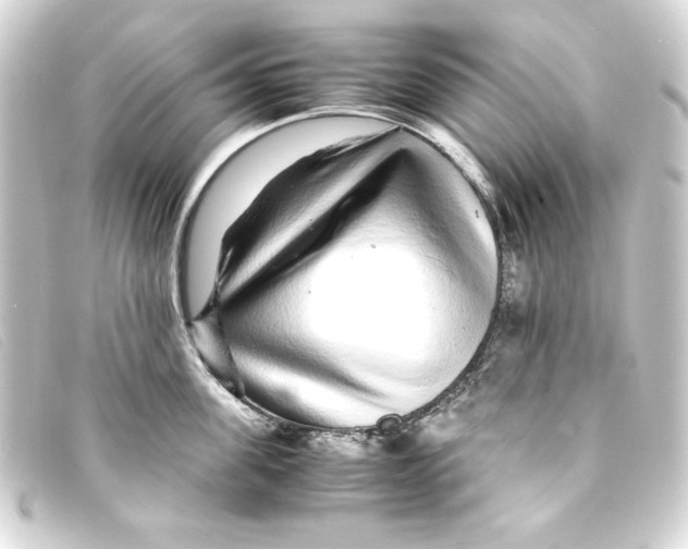 X0000093160955200710241017