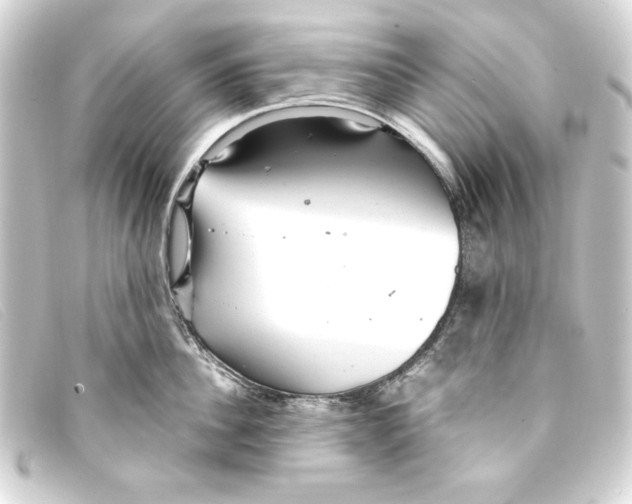 X0000093160956200710241017