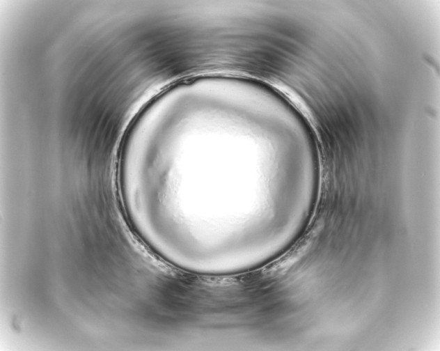 X0000093160957200710241017