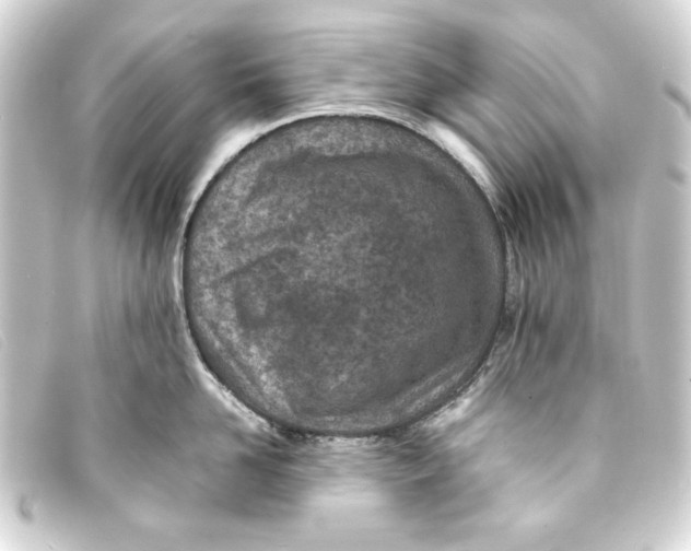 X0000093160958200710241017