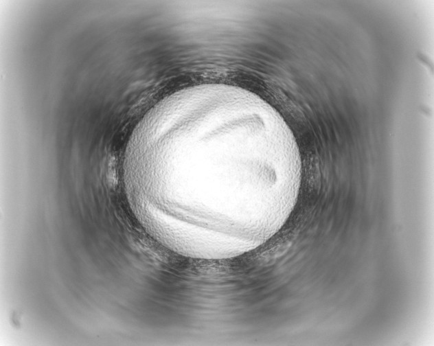 X0000093160962200710241017