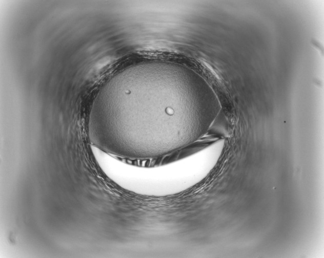 X0000093160965200710241017