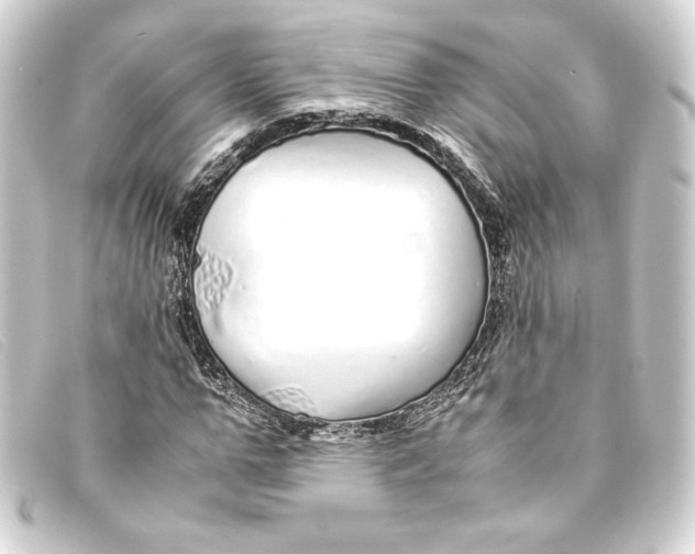 X0000093160967200710241017