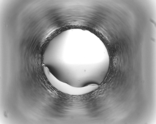 X0000093160968200710241017