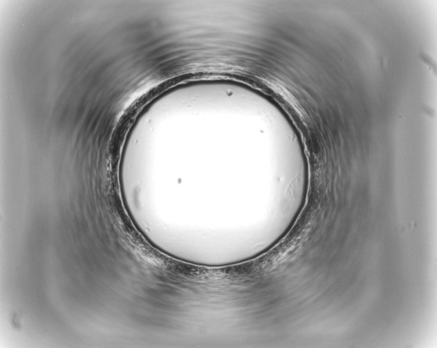 X0000093160971200710241017