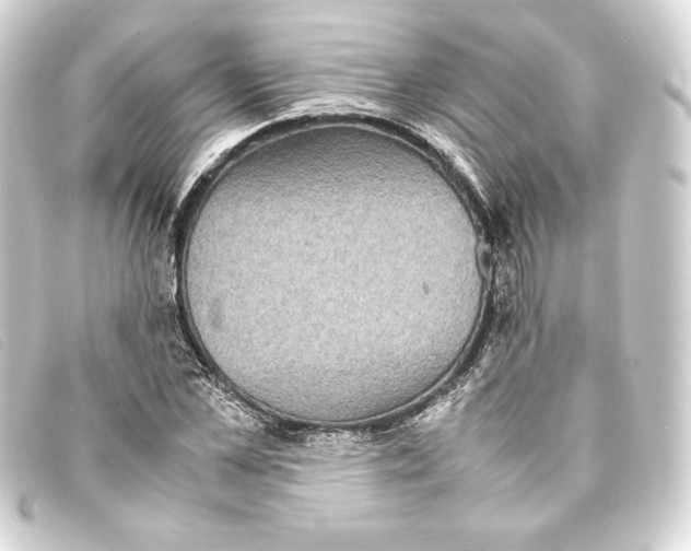 X0000093160973200710241017
