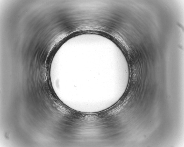 X0000093160974200710241017