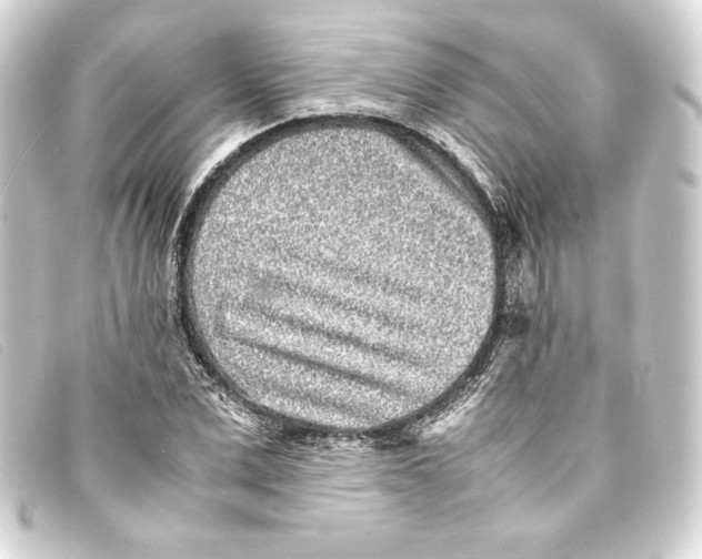 X0000093160975200710241017
