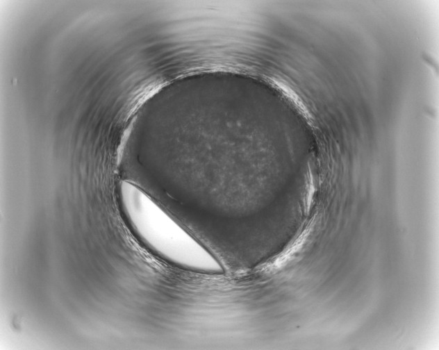 X0000093160977200710241016