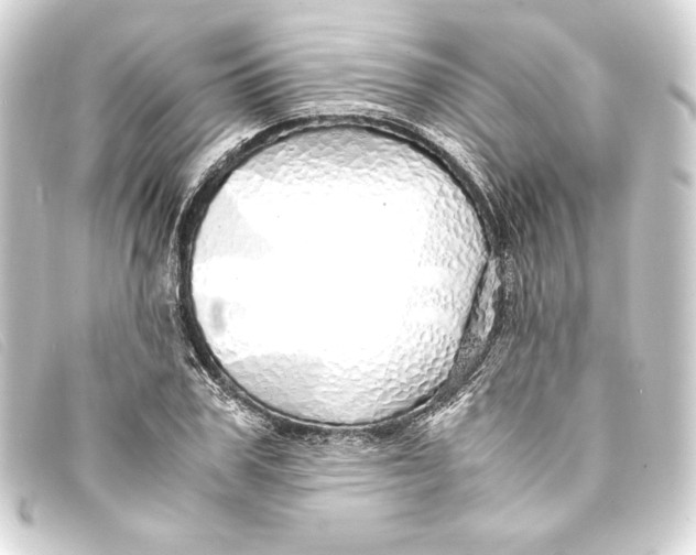 X0000093160979200710241016