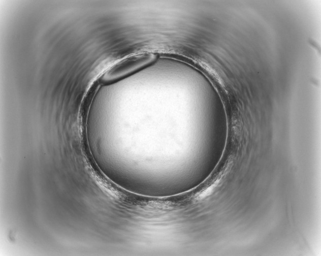 X0000093160981200710241016