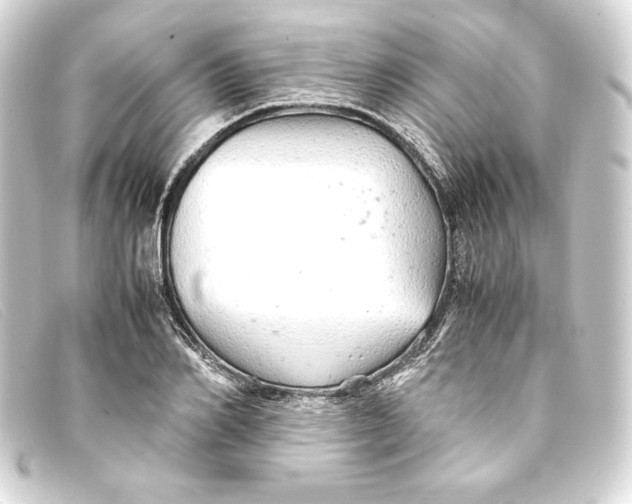 X0000093160982200710241016