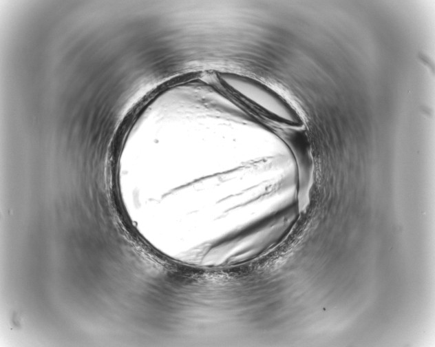 X0000093160983200710241016
